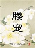 媵宠最新章节