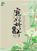 宠妃娇养日常盘