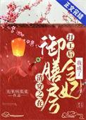 在清穿文里养老御