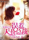先婚后爱误惹天价总裁全文免费女主苏晓青