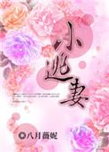 总裁爆宠小逃妻