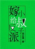 嫁给反派的小叔叔
