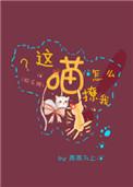 这喵怎么撩我免费阅读