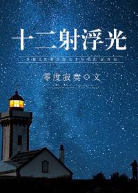 浮光十二兽首