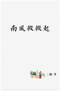 南风微微起番外孩子结局