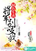 将军请别这样做