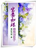 宝妻的哪本好看