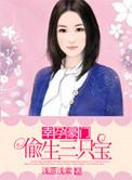 一胎三宝豪门替孕妻