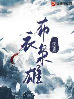 布衣枭雄40集免费播放