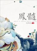 凤髓尤四姐讲什么