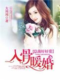 入骨暖婚TXT