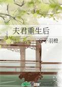夫君重生后的第一件事全集