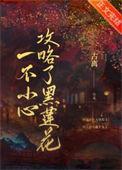 一不小心攻略了黑莲花许扶清