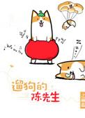 遛狗的陈先生菠萝