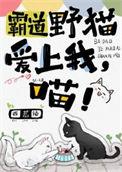 喵TXT