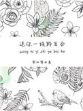 送你一枝野百合讲的什么故事