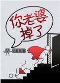 你老婆掉了电视剧