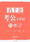 真千金考公上岸后红炸了作者桑微