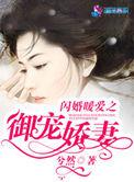 闪婚总裁暖妻