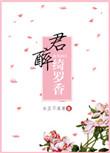 倾城小佳人无弹窗