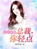总裁轻点宠全文免费