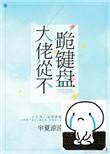 大佬从不跪键盘TXT