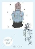 盛年不再来免费阅读