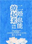 二婚也能撩起来小阳春书包网