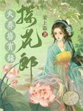 探花郎火葬场实录by茉上霜