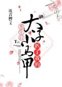 重生后太子扒了我的小马甲 沈青鲤讲什么