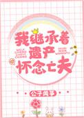 我继承遗产怀念丈夫