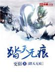 踏天无痕无删减