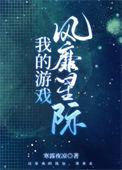 我的游戏风靡宇宙