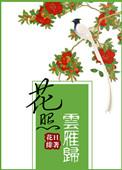 花照云雁归花日绯