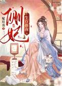 侧妃生存指南全文阅读