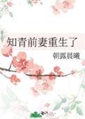 重生知青离婚后