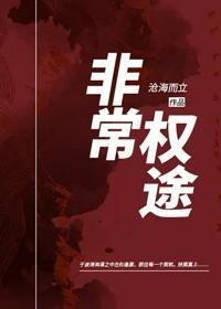 非常权途TXT完本