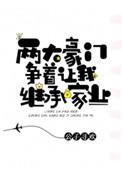 两大豪门争着让我继承家业137章