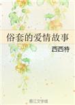 俗套的爱情故事作者西西特