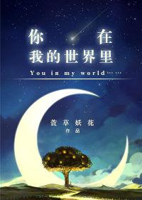 你在我的世界里给我带来光明歌词