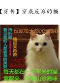 穿成反派的猫后我称霸娱乐圈gl百度