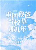 深情可抵岁月长陆嫣沈括免费阅读