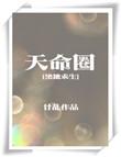 天命圈歌词