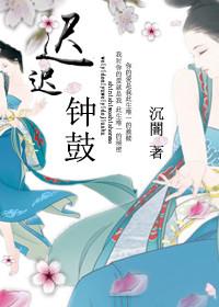 迟迟钟鼓长夜初