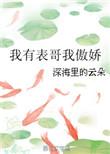 我有表哥我傲娇笔趣阁无删减