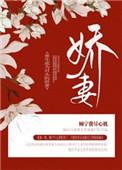 重生成为对头的娇妻作者两个豆乳盒子