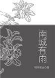 南城有雨阅读