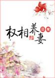 权相养妻日常章节