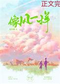 像风一样自由汪峰歌词