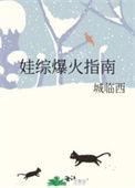 娃综爆火指南 作者城临西